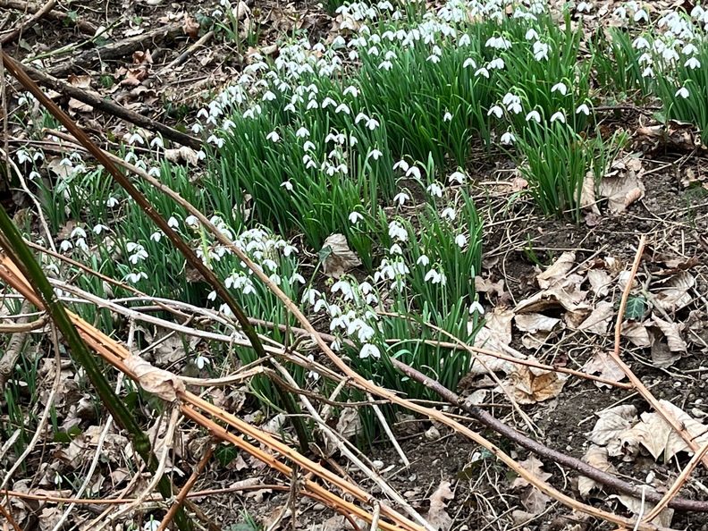 23-02-18 15-56-58 4272